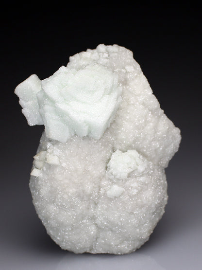 CC4010 specimen image
