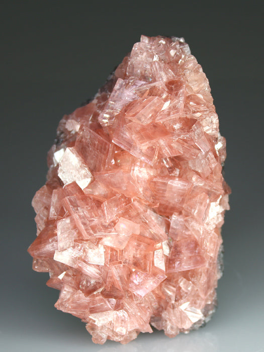 CC4012 specimen image