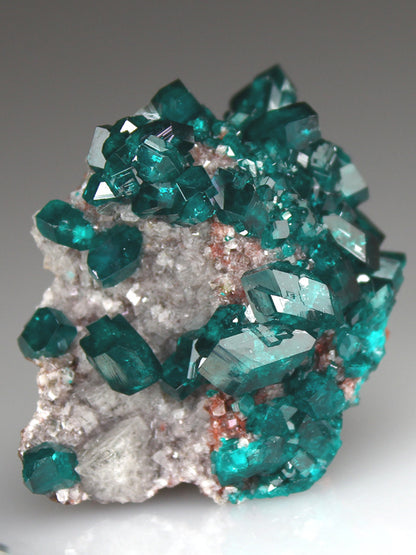 CC4013 specimen image