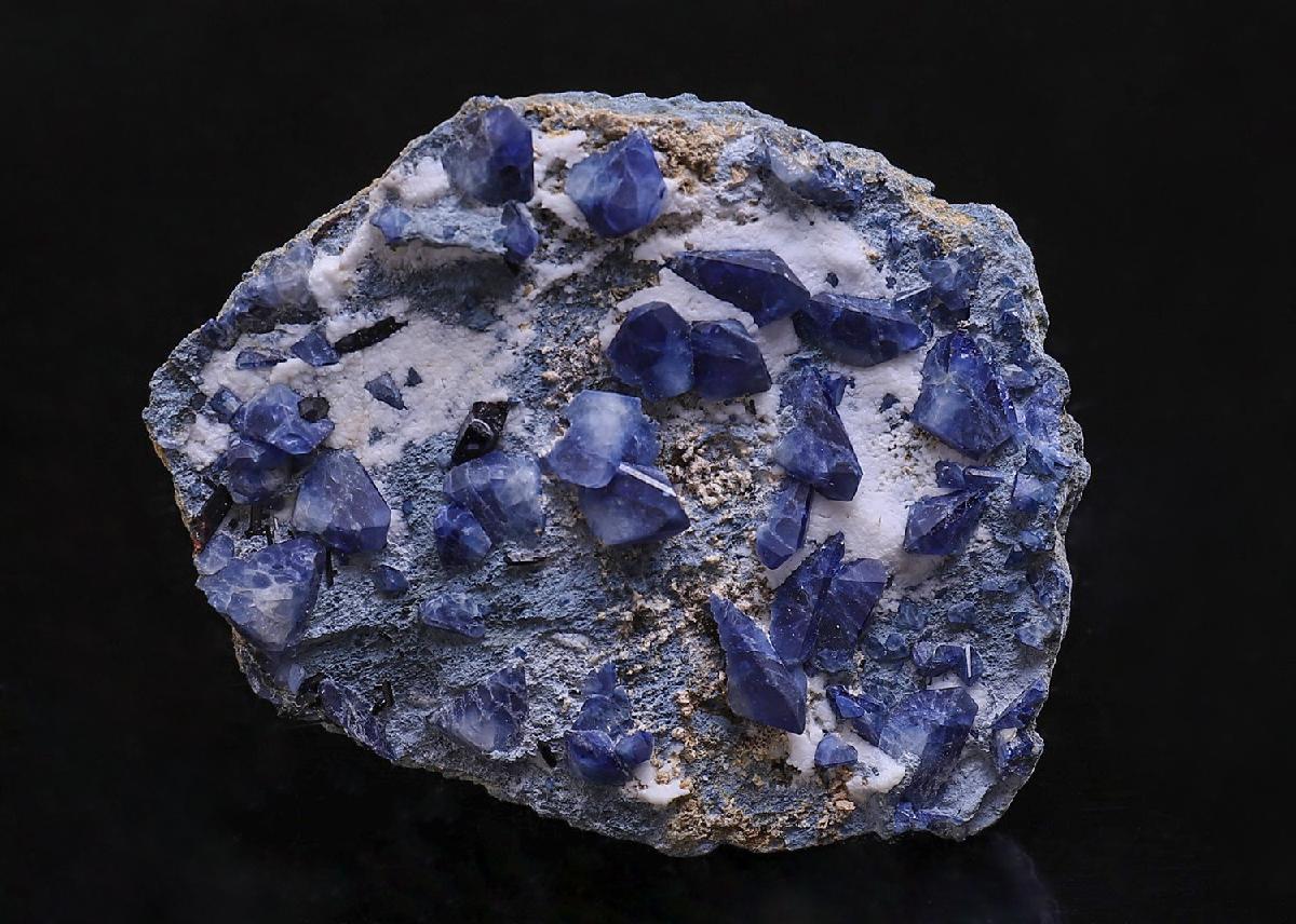 CC40152 specimen image