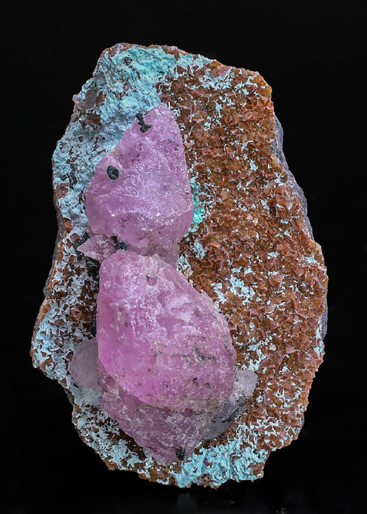 CC40158 specimen image
