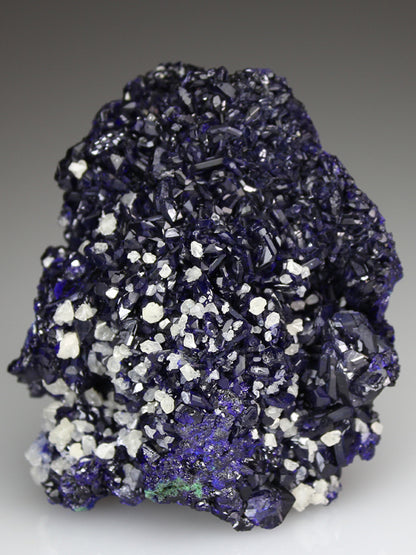 CC4030 specimen image