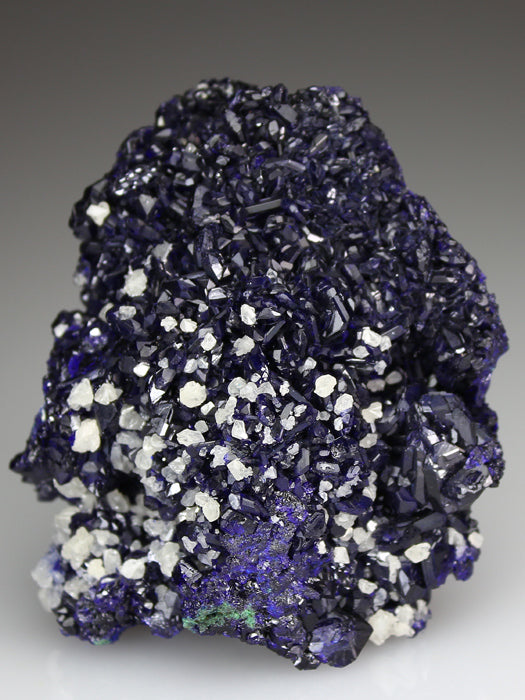 CC4030 specimen image