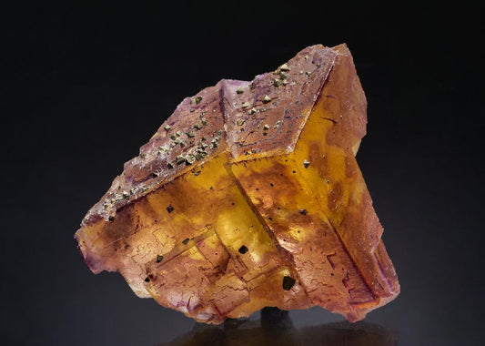 CC40338 specimen image