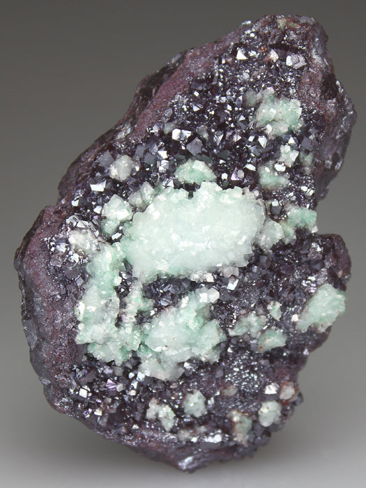 CC4034 specimen image