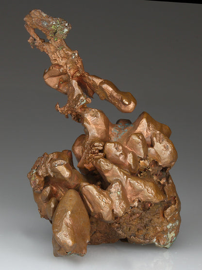 CC4035 specimen image