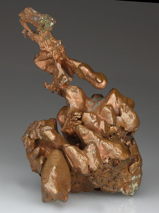 CC4035 specimen image