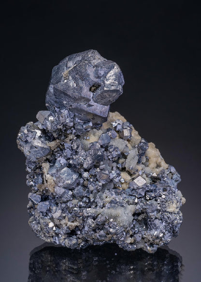 CC4039 specimen image