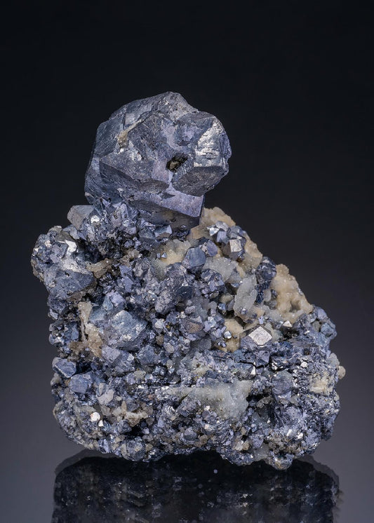 CC4039 specimen image