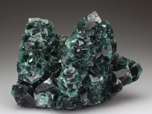 CC4057 specimen image