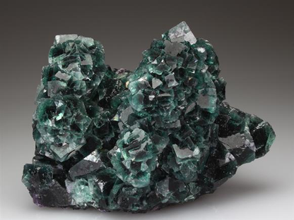 CC4057 specimen image