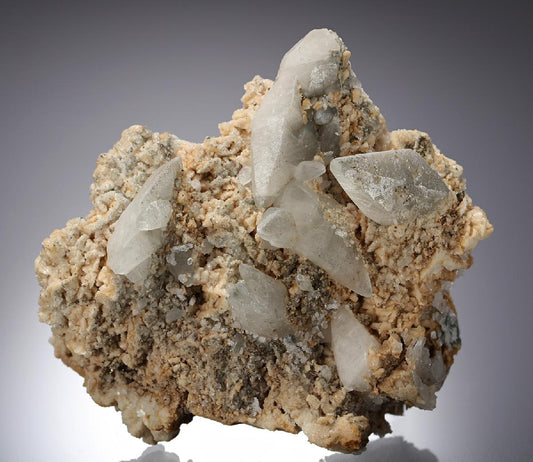 CC4066 specimen image