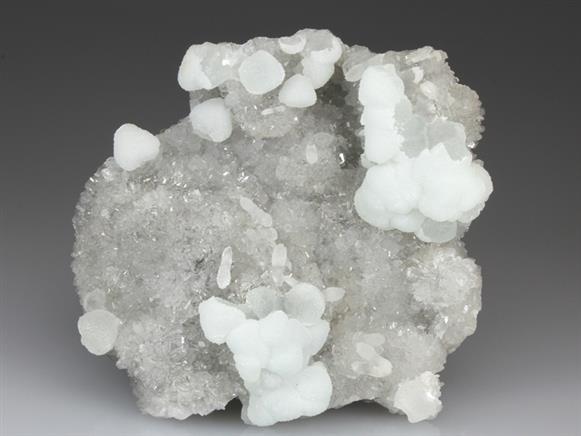 CC4081 specimen image