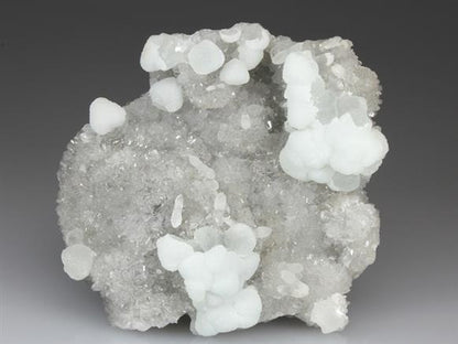 CC4081 specimen image