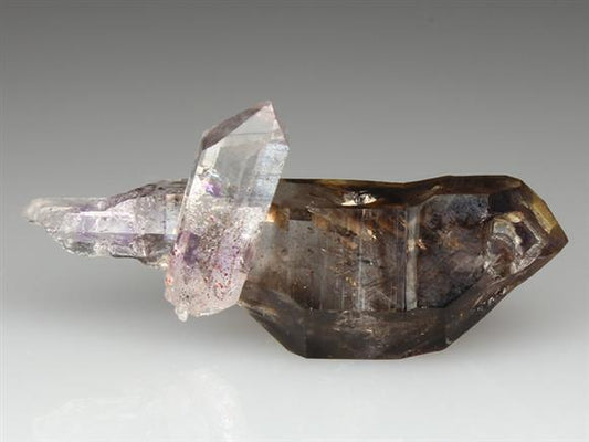 CC4082 specimen image