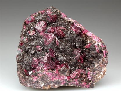 CC4088 specimen image