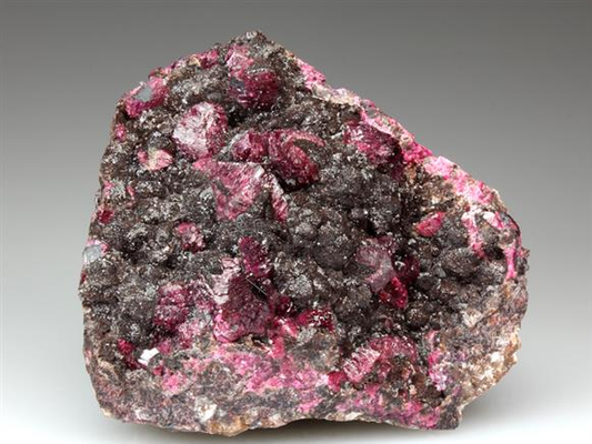 CC4088 specimen image
