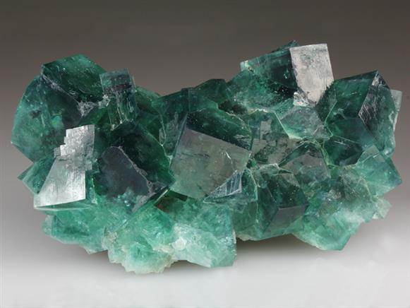CC4133 specimen image