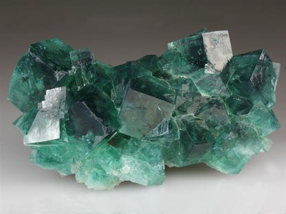 CC4133 specimen image