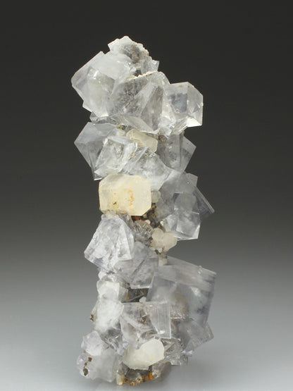 CC4155 specimen image
