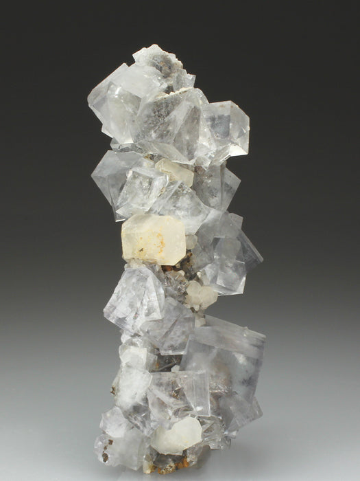 CC4155 specimen image