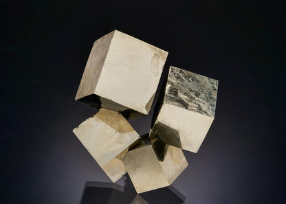 CC41554 specimen image