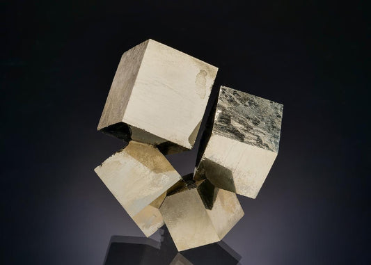 CC41554 specimen image