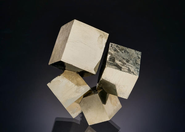 CC41554 specimen image