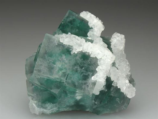 CC4156 specimen image