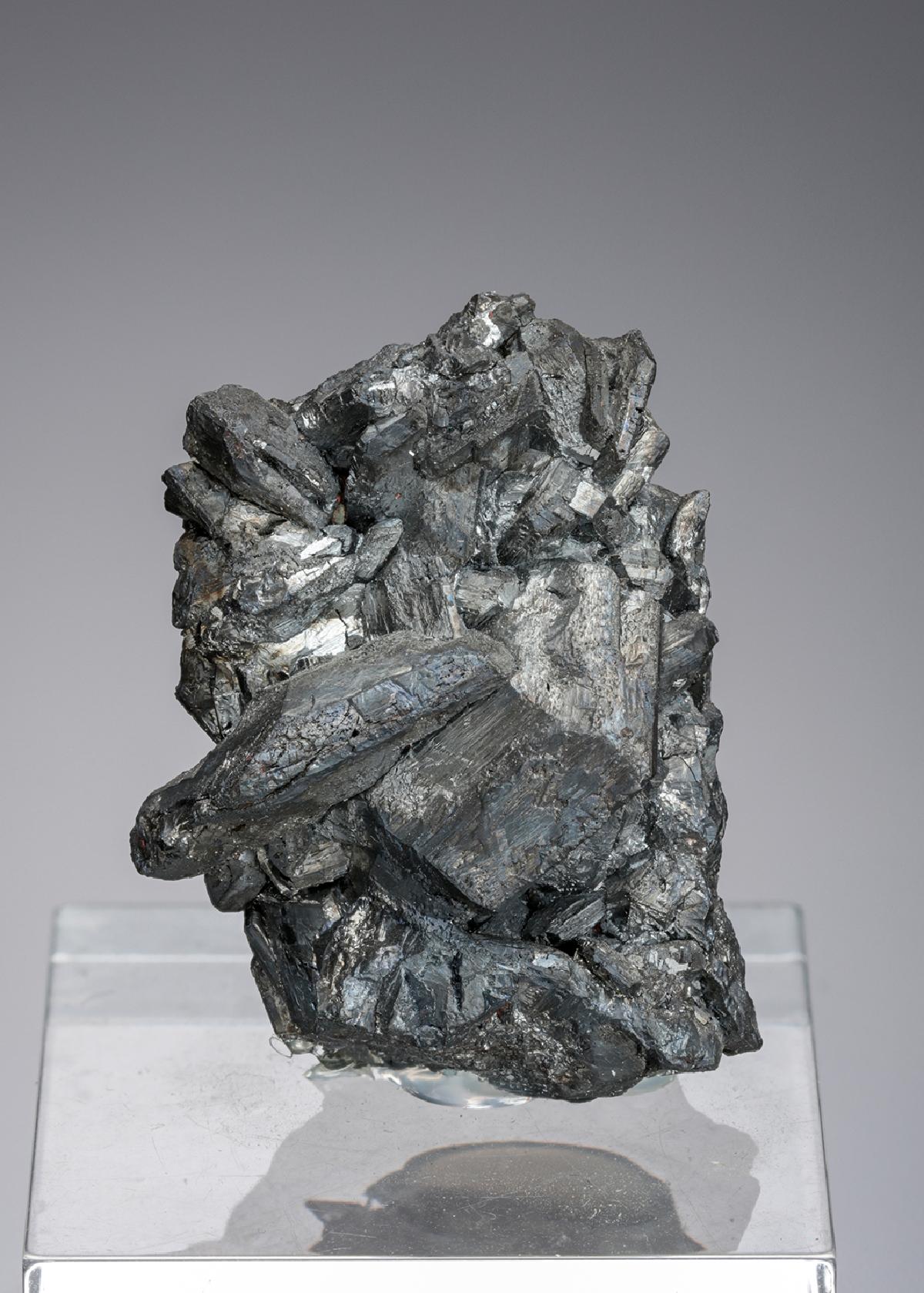 CC4168 specimen image