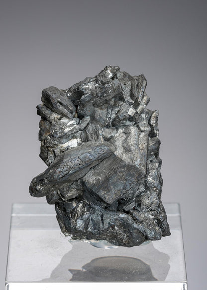 CC4168 specimen image
