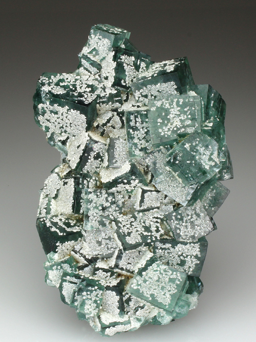 CC4170 specimen image