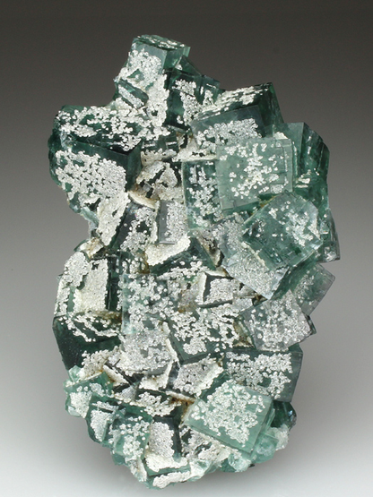 CC4170 specimen image