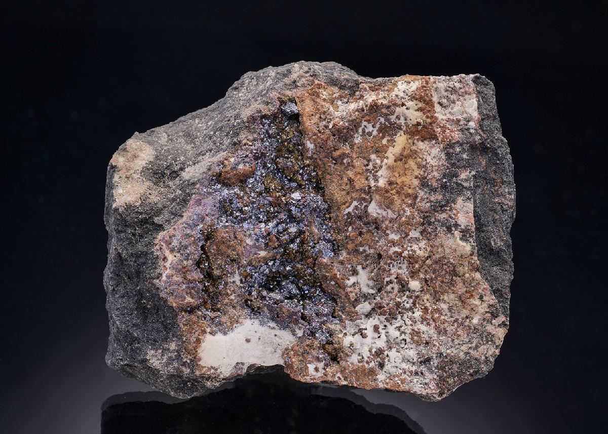 CC41964 specimen image