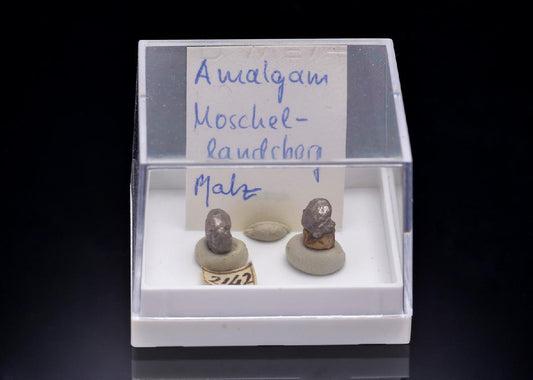 CC41980 specimen image