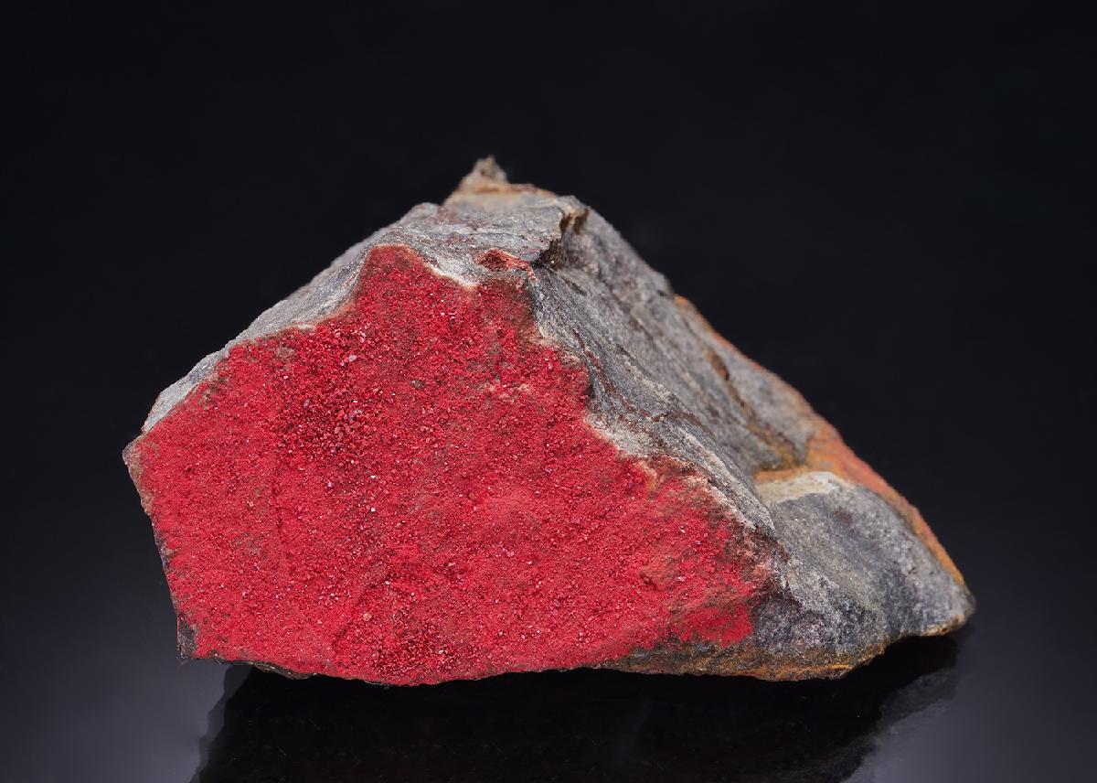 CC41992 specimen image