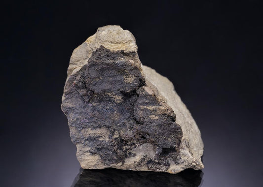 CC41996 specimen image