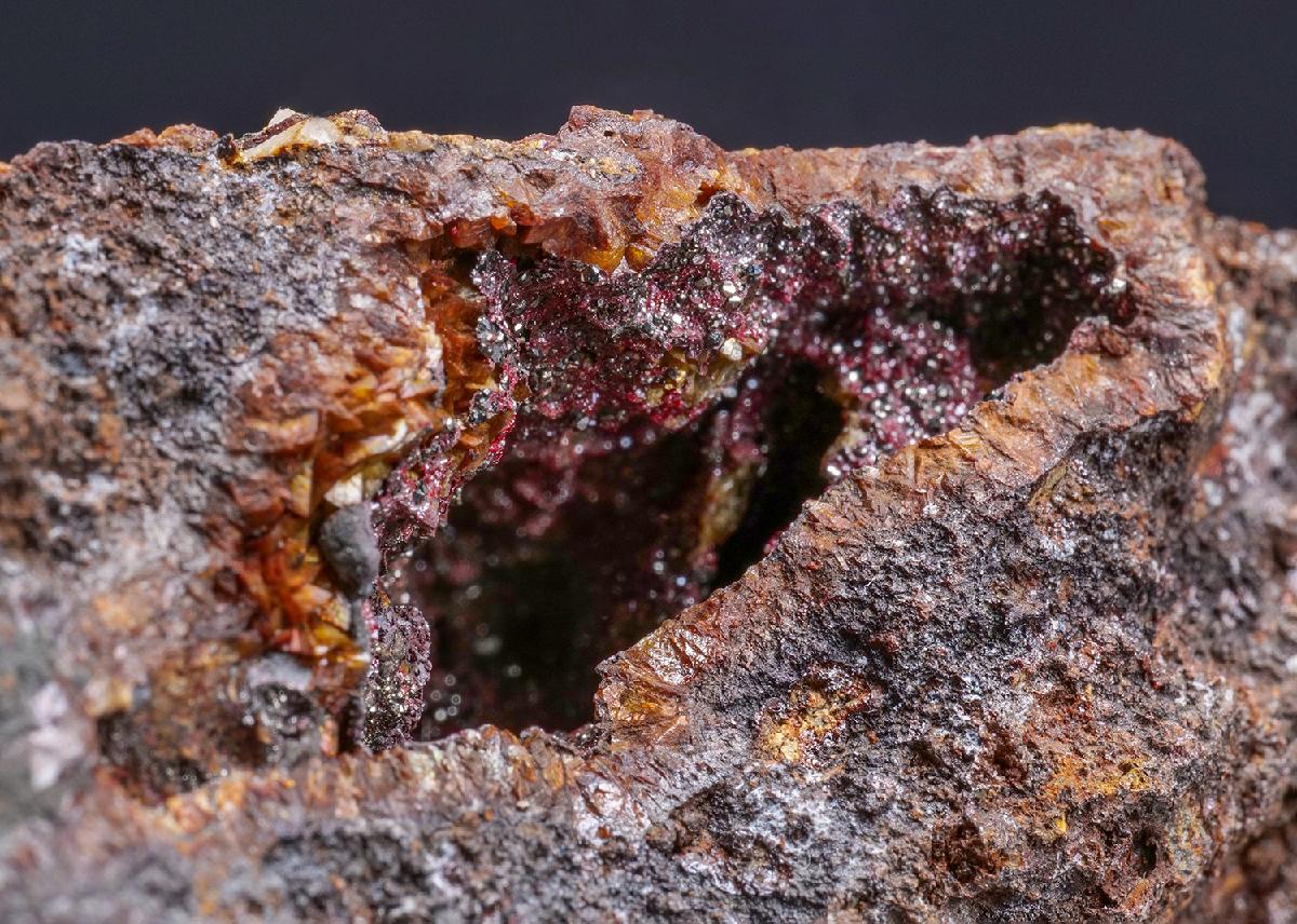 CC42008 specimen image
