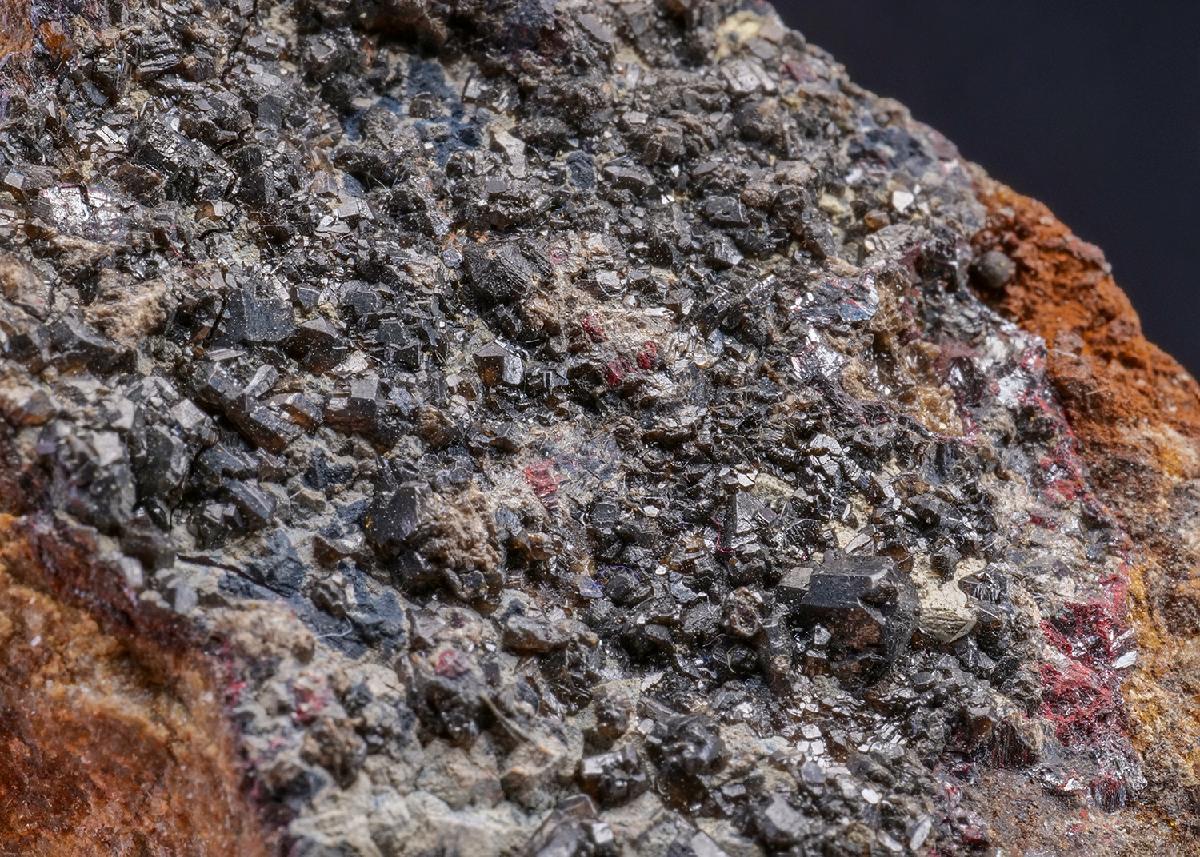 CC42014 specimen image
