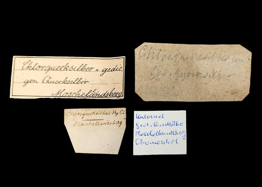 CC42026 specimen image