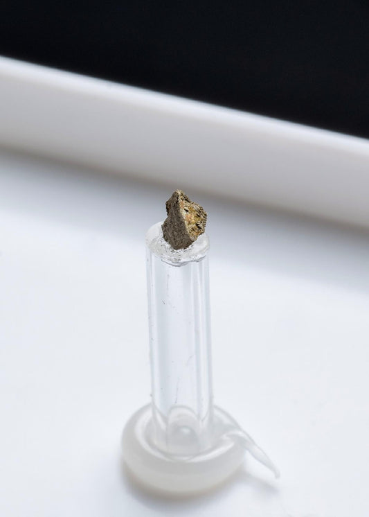 CC42028 specimen image