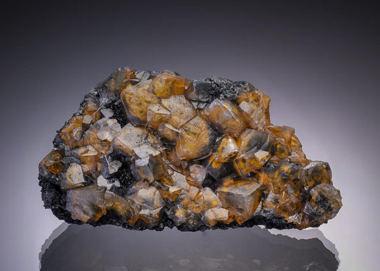 CC42050 specimen image