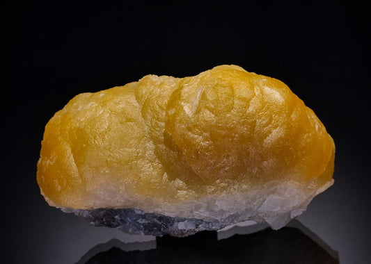 CC42062 specimen image
