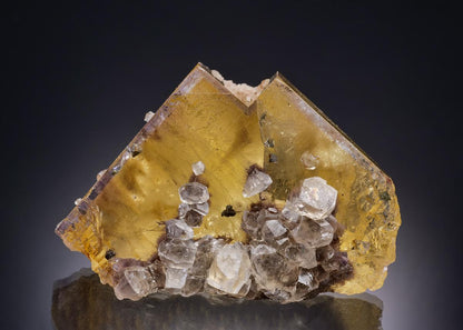 CC42080 specimen image