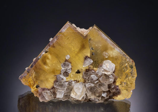 CC42080 specimen image