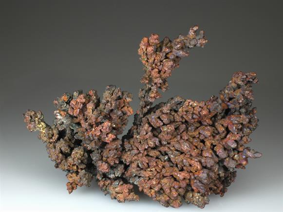 CC4209 specimen image