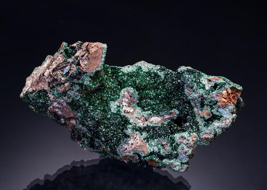CC42094 specimen image