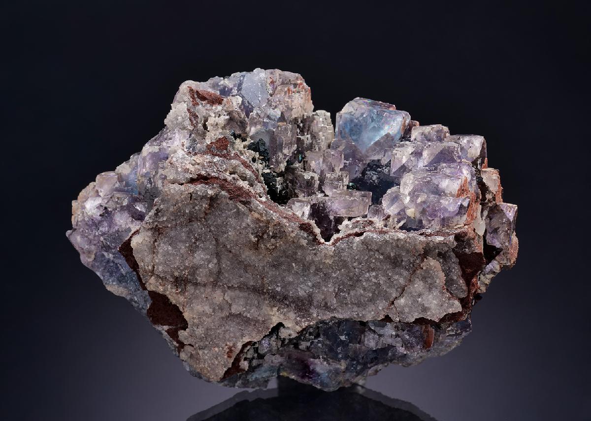 CC42114 specimen image