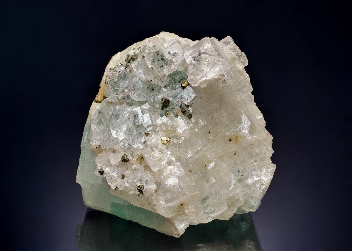 CC42118 specimen image