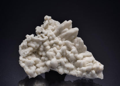 CC42134 specimen image